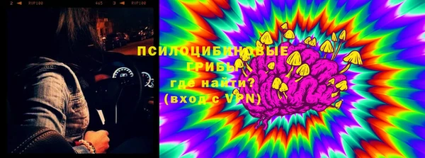 мдма Белокуриха