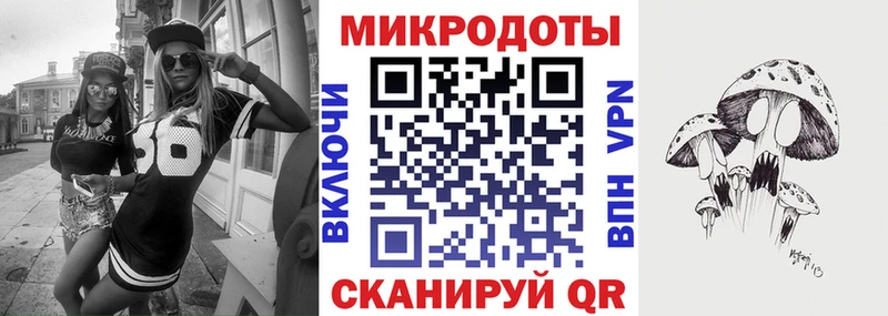 mega   Сланцы  Галлюциногенные грибы мицелий 