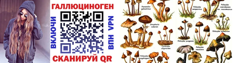 Псилоцибиновые грибы мицелий Сланцы