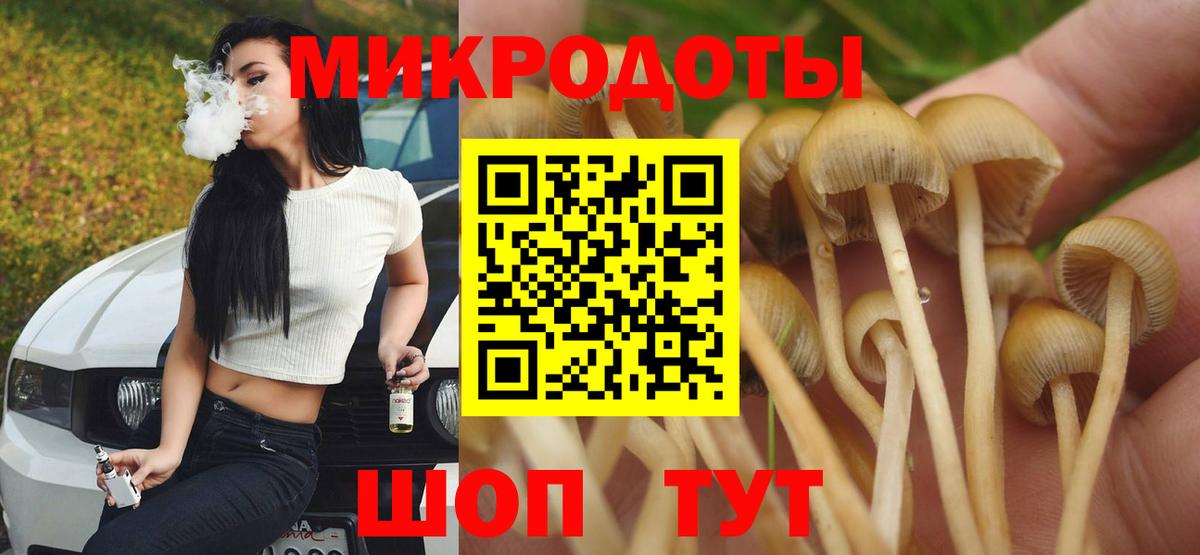 Галлюциногенные грибы Cubensis  Вход с VPN  Псилоцибиновые грибы прущие грибы  Сланцы 