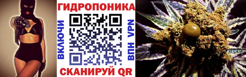 купить наркотики сайты  Сланцы  мега как войти  МАРИХУАНА план 